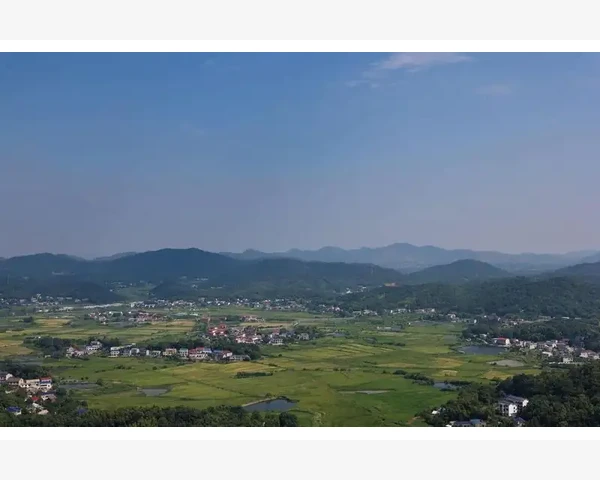 脾胃疼痛怎么解决